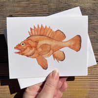 Rock Cod Greeting Card