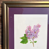 Lilac Watercolor Original Framed Painting