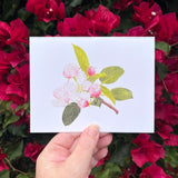 Spring Botanical Card Set