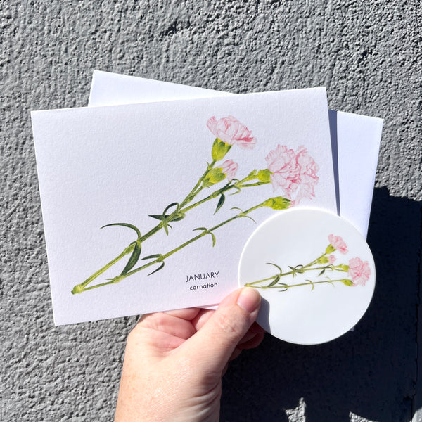 January Birth Flower Carnation Watercolor Greeting Card + Sticker