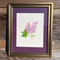 Lilac Watercolor Original Framed Painting