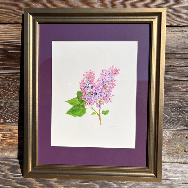 Lilac Watercolor Original Framed Painting