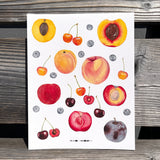 Stone Fruit Summer Giclee Print