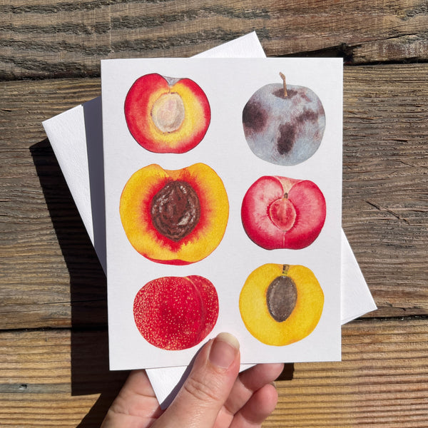 Stone Fruit Greeting Card