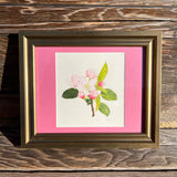 Apple Blossom Watercolor Original Framed Painting