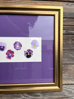 Pansies Watercolor Original Framed Painting