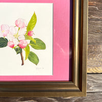 Apple Blossom Watercolor Original Framed Painting