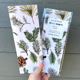 Tissue Paper - Evergreen Sprigs