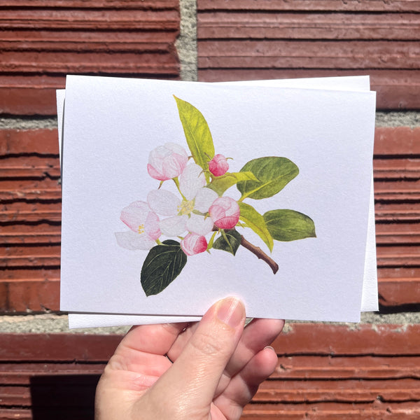 Apple Blossom Greeting Card