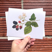 Blackberry Greeting Card