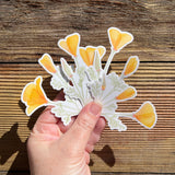 California Poppy Sticker Pack