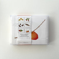 Autumn Botanicals Card Set