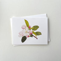Spring Botanical Card Set