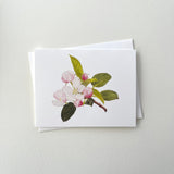 Spring Botanical Card Set