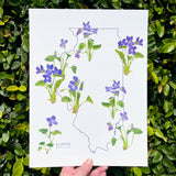 Illinois Violet State Flower Print