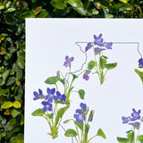 Illinois Violet State Flower Print