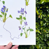 Illinois Violet State Flower Print