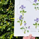 Wisconsin State Flower Print