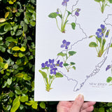 New Jersey State Flower Print