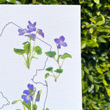 New Jersey State Flower Print