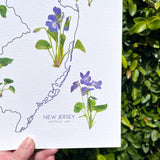 New Jersey State Flower Print