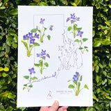 Rhode Island State Flower Print