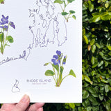 Rhode Island State Flower Print