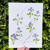 New Jersey State Flower Print