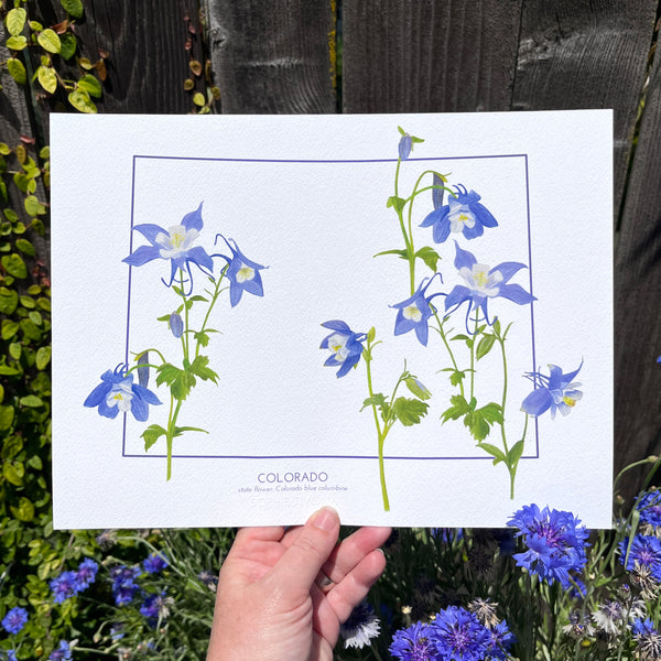 Colorado State Flower Print
