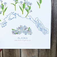 Alaska Forget-me-not State Flower Print