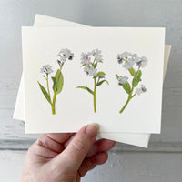 Spring Botanical Card Set