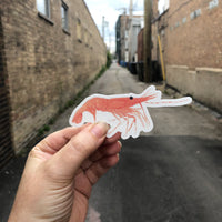 Sea Life Shellfish Sticker Pack - Prawn, Oyster, Dungeness Crab