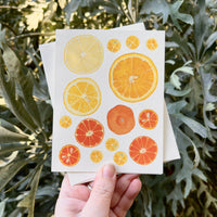 Citrus Lovers Bundle