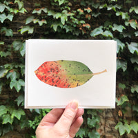 Madrone Leaves Autumn Watercolor Greeting Card