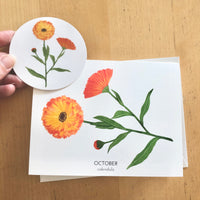 October Birth Flower Calendula Watercolor Greeting Card + Sticker