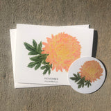 November Birth Flower Chrysanthemum Watercolor Greeting Card + Sticker