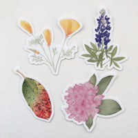 Botanical Watercolor Sticker Pack - Poppy, Madrone, Lupine, and Rhododendron