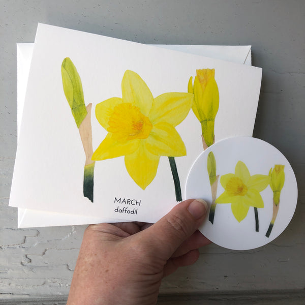 March Birth Flower Daffodil Watercolor Greeting Card + Sticker