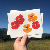 Nasturtium Watercolor Greeting Card