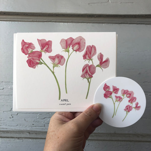 April Birth Flower Sweet Pea Watercolor Greeting Card + Sticker