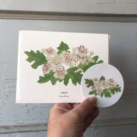 May Birth Flower Hawthorn Watercolor Greeting Card + Sticker