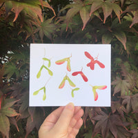 Maple Tree Seeds Greeting Card