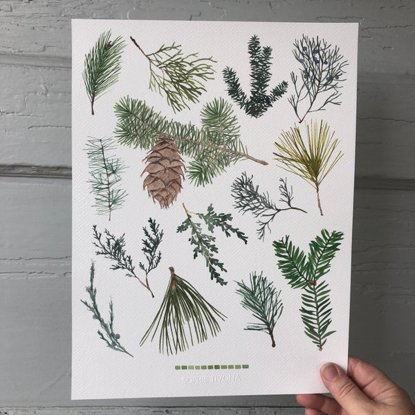 Sprigs Evergreen Print
