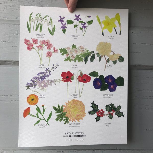 Birth Flowers Print