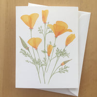 California Poppy Greeting Card