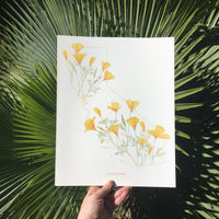 California Poppy State Print