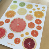 Citrus Giclee Print