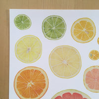 Citrus Giclee Print