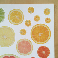 Citrus Giclee Print