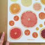 Citrus Giclee Print